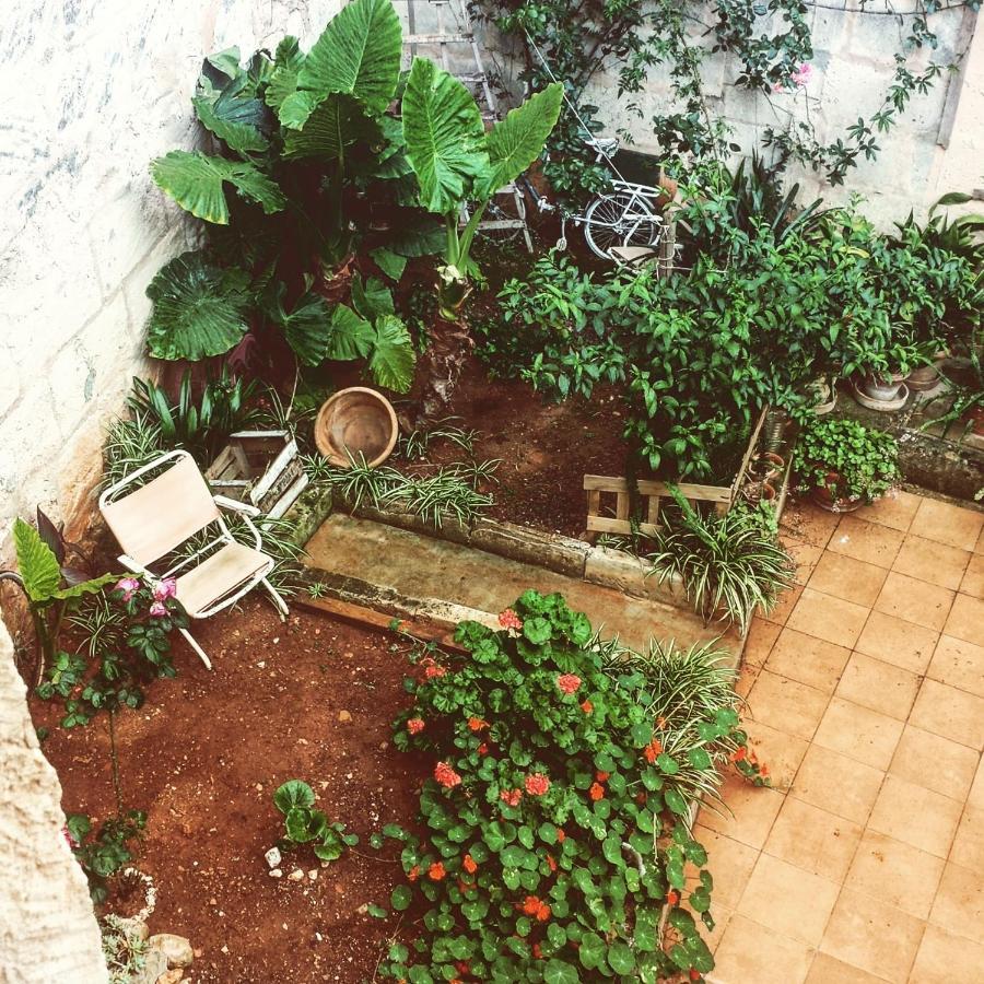 Sa Madona De Sa Pleta Bed & Breakfast มูโร ภายนอก รูปภาพ